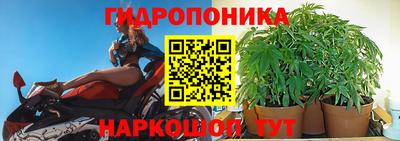 ALPHA-PVP Кандалакша