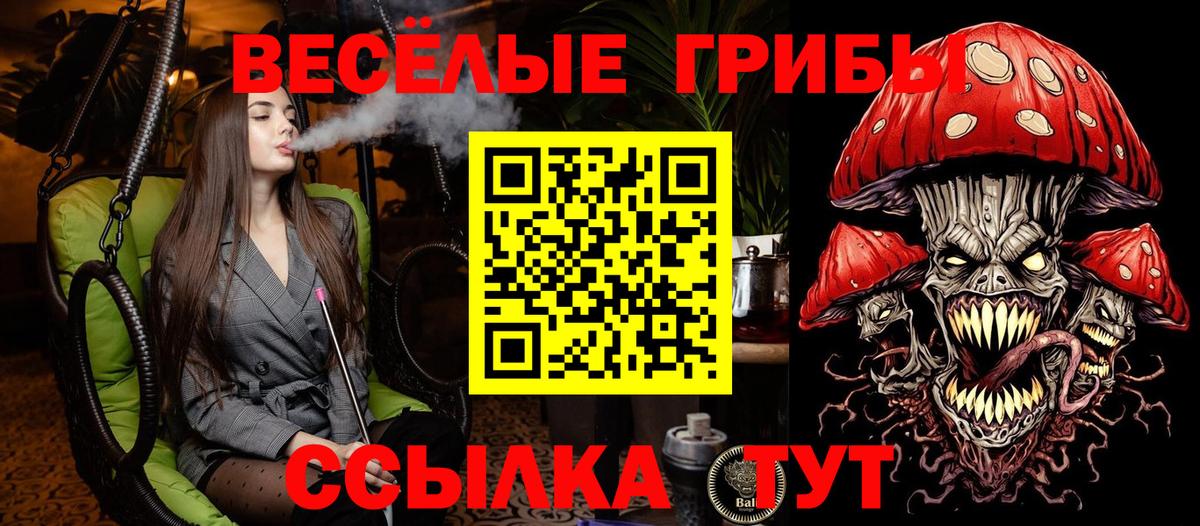 Псилоцибиновые грибы Psilocybine cubensis Киржач