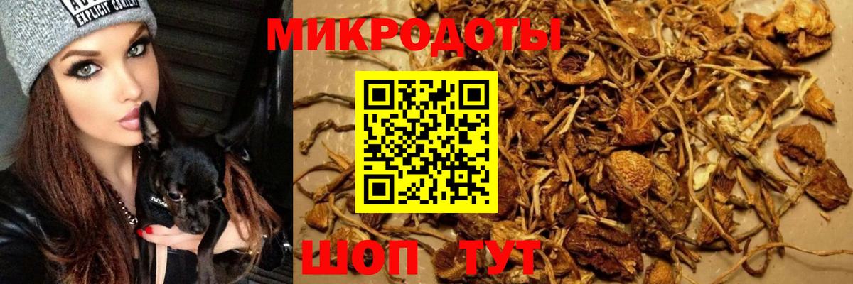 Псилоцибиновые грибы MAGIC MUSHROOMS  Вход с VPN  Галлюциногенные грибы GOLDEN TEACHER  Киржач 